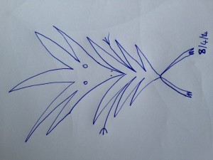 bird